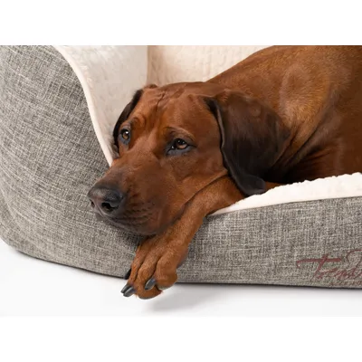 TrendPet VitaBed Classic lit orthopédique pour chiens
