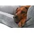 TrendPet VitaBed Classic lit orthopédique pour chiens