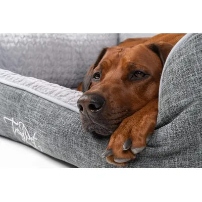 TrendPet VitaBed Classic lit orthopédique pour chiens