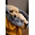 TrendPet Yuma couverture câline TrendPet Yuma couverture câline