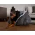 TrendPet LunaNest Kuschelbett TrendPet LunaNest Kuschelbett