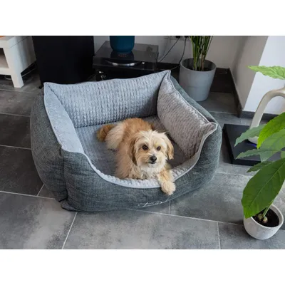TrendPet VitaBed Classic lit orthopédique pour chiens