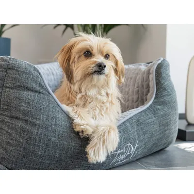 TrendPet VitaBed Classic lit orthopédique pour chiens