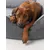 TrendPet VitaBed Classic lit orthopédique pour chiens
