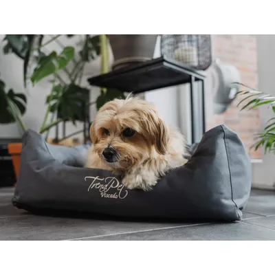 TrendPet Viscado lit orthopédique pour chien