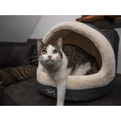TrendPet LunaHome Kuschehöhle TrendPet LunaHome Kuschehöhle