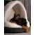 TrendPet LunaHome Kuschehöhle TrendPet LunaHome Kuschehöhle