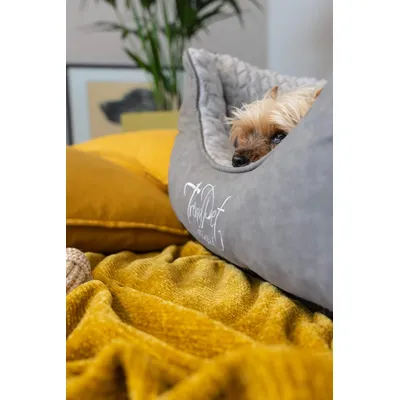 TrendPet VitaBed Style lit orthopédique pour chien