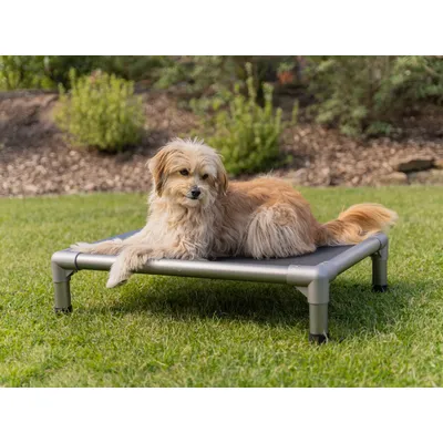 TrendPet HighBed lit surélevé pour chiens