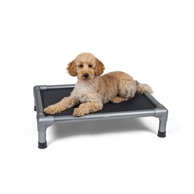 TrendPet HighBed lit surélevé pour chiens