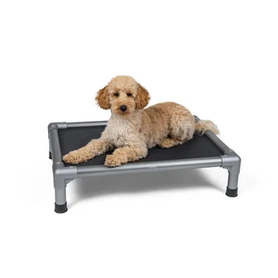 TrendPet HighBed lit surélevé pour chiens