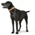HUNTER Collier Swiss, brun