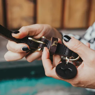 HUNTER Collier Solid Education Duo, brun foncé