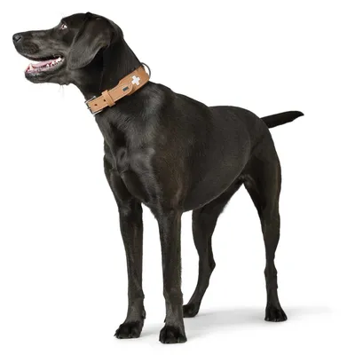 HUNTER Collier Swiss, rouge