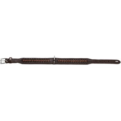 HUNTER Halsband Solid Education Exclusive