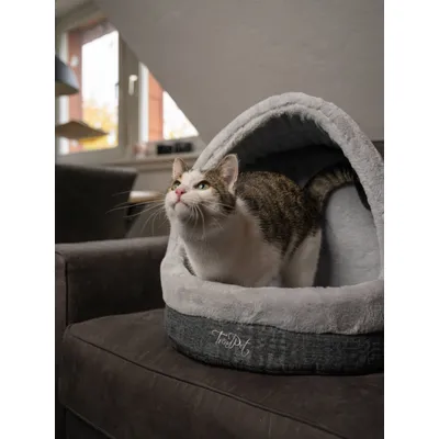 TrendPet LunaHome Coin câlin TrendPet LunaHome Coin câlin