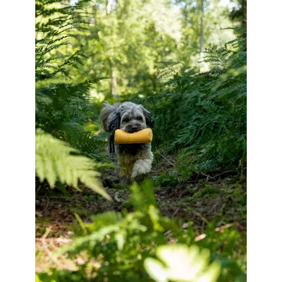 TrendPet KURT La poche à friandises