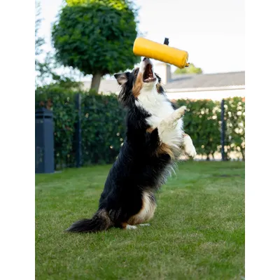 TrendPet KURT La poche à friandises