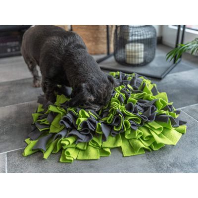 TrendPet Tapis à renifler