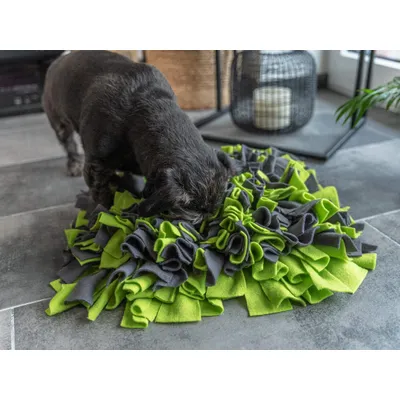 TrendPet Tapis à renifler