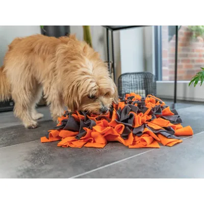 TrendPet Schnüffelteppich