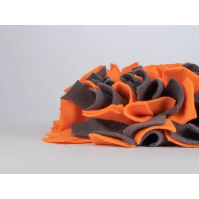 TrendPet Schnüffelteppich