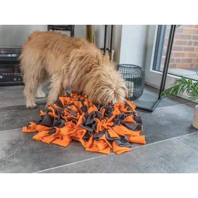 TrendPet Tapis à renifler