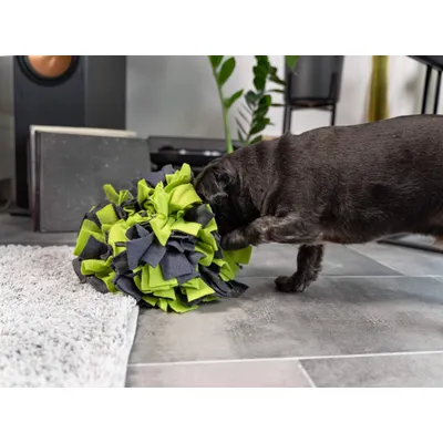 TrendPet Balle à renifler