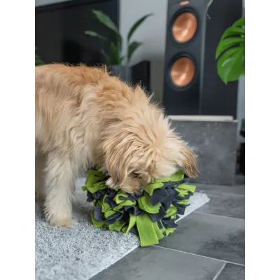 TrendPet Schnüffelball TrendPet Schnüffelball