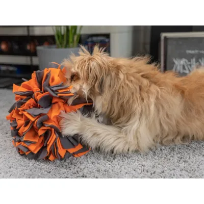 TrendPet Schnüffelball