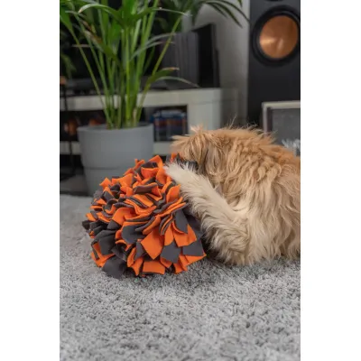 TrendPet Balle à renifler TrendPet Balle à renifler