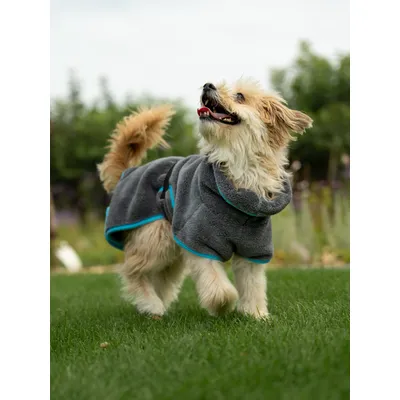 TrendPet Dampfhund Peignoir pour chiens