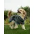 TrendPet Dampfhund Peignoir pour chiens TrendPet Dampfhund Peignoir pour chiens