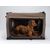 TrendPet TPX-Pro Caisse pliante pour chiens