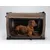 TrendPet TPX-Pro Caisse pliante pour chiens TrendPet TPX-Pro Caisse pliante pour chiens