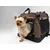 TrendPet TPX-Pro Caisse pliante pour chiens