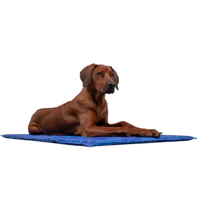 TrendPet Arctic Comfort Tapis de refroidissement 20 mm premium