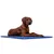 TrendPet Arctic Comfort Tapis de refroidissement 20 mm premium