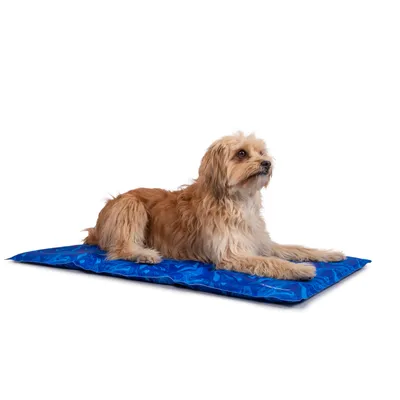 TrendPet Arctic Comfort Tapis de refroidissement 20 mm premium