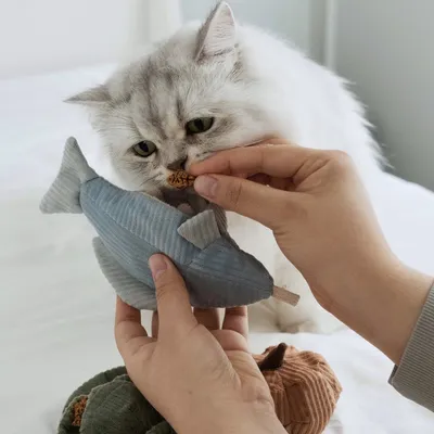 Bagane Jouet de fouille enrichissement pour chat / petit chien K Trouut