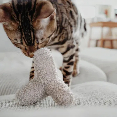 Bagane Jouet pour chat avec clochette et herbe à chat, K Breuuer