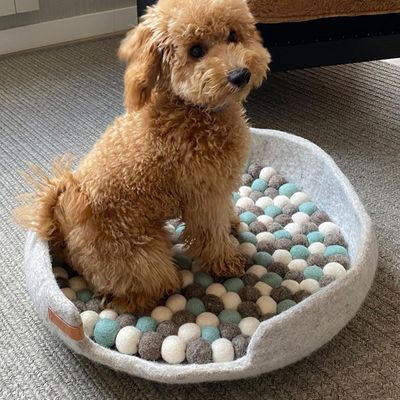 Bagane Panier petit chien / chat apaisant en feutre de laine gris Jena