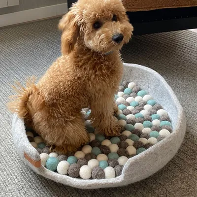 Bagane Panier petit chien / chat apaisant en feutre de laine gris Jena