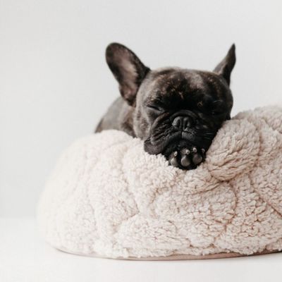 Bagane Lit rond pour petit chien / chat réversible nude Taart