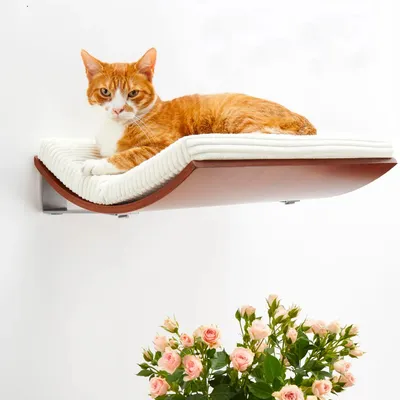 Bagane Etagère hamac chat design, bois noyer Kissa