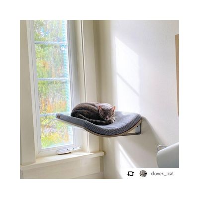 Bagane Etagère hamac chat design, bois érable Kissa