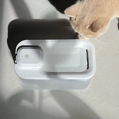 Bagane Fontaine à eau pour chat sans fil, silencieuse avec lampe UVC Akoi