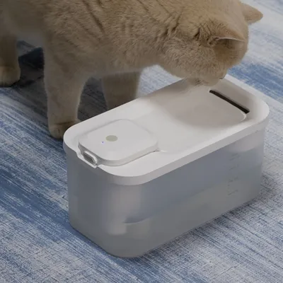 Bagane Fontaine à eau pour chat sans fil, silencieuse avec lampe UVC Akoi