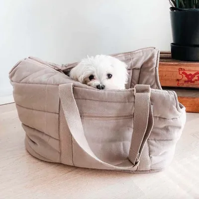 Bagane Sac de transport mode pour chien / chat, beige Hvor