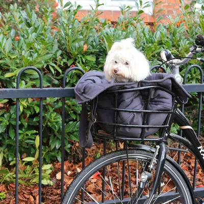 Bagane Sac de transport mode pour chien / chat, gris anthracite Hvor
